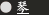 琴